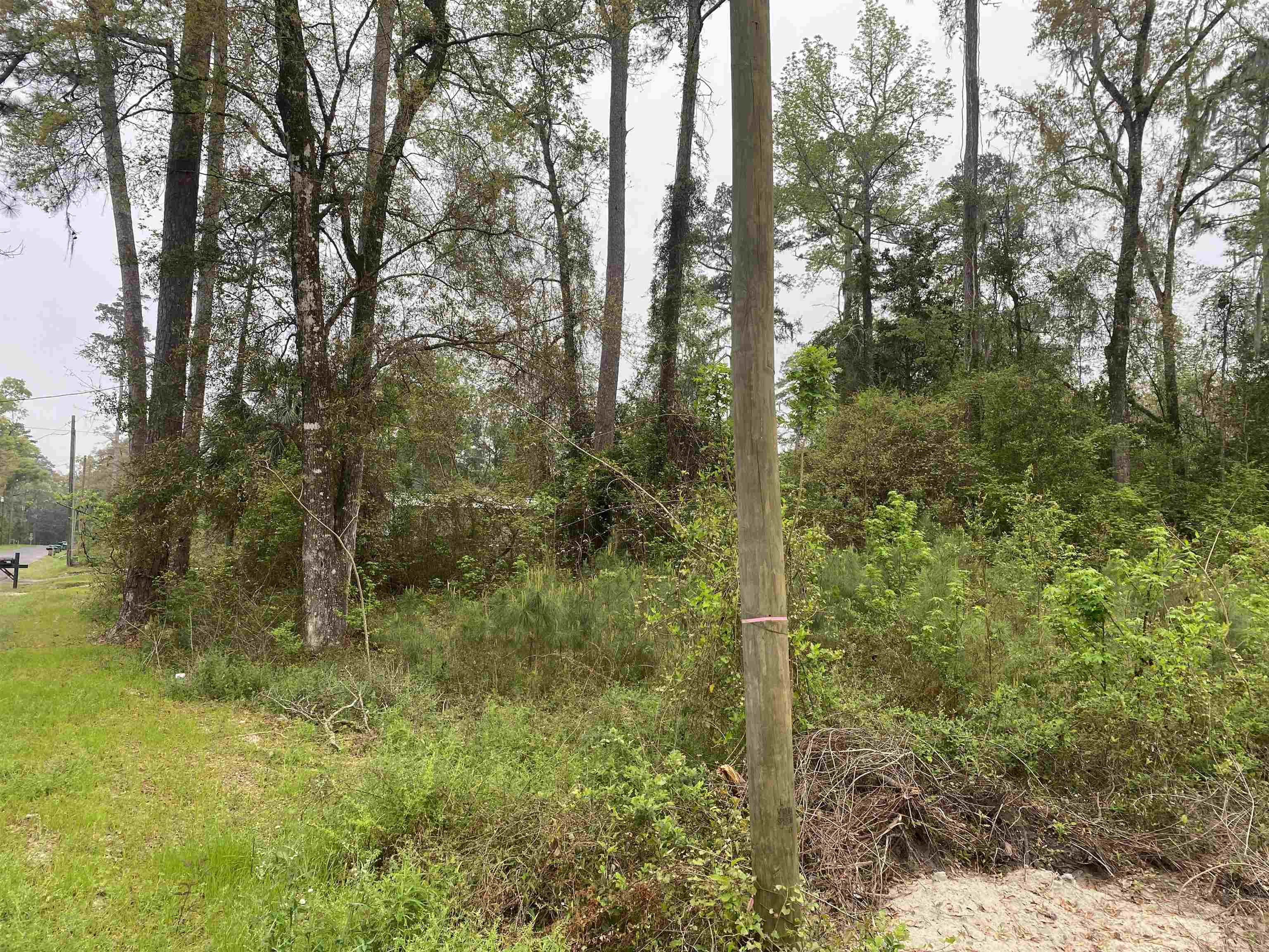 24 Maxson Road Crawfordville, FL 32327 - Photo 4 of 9