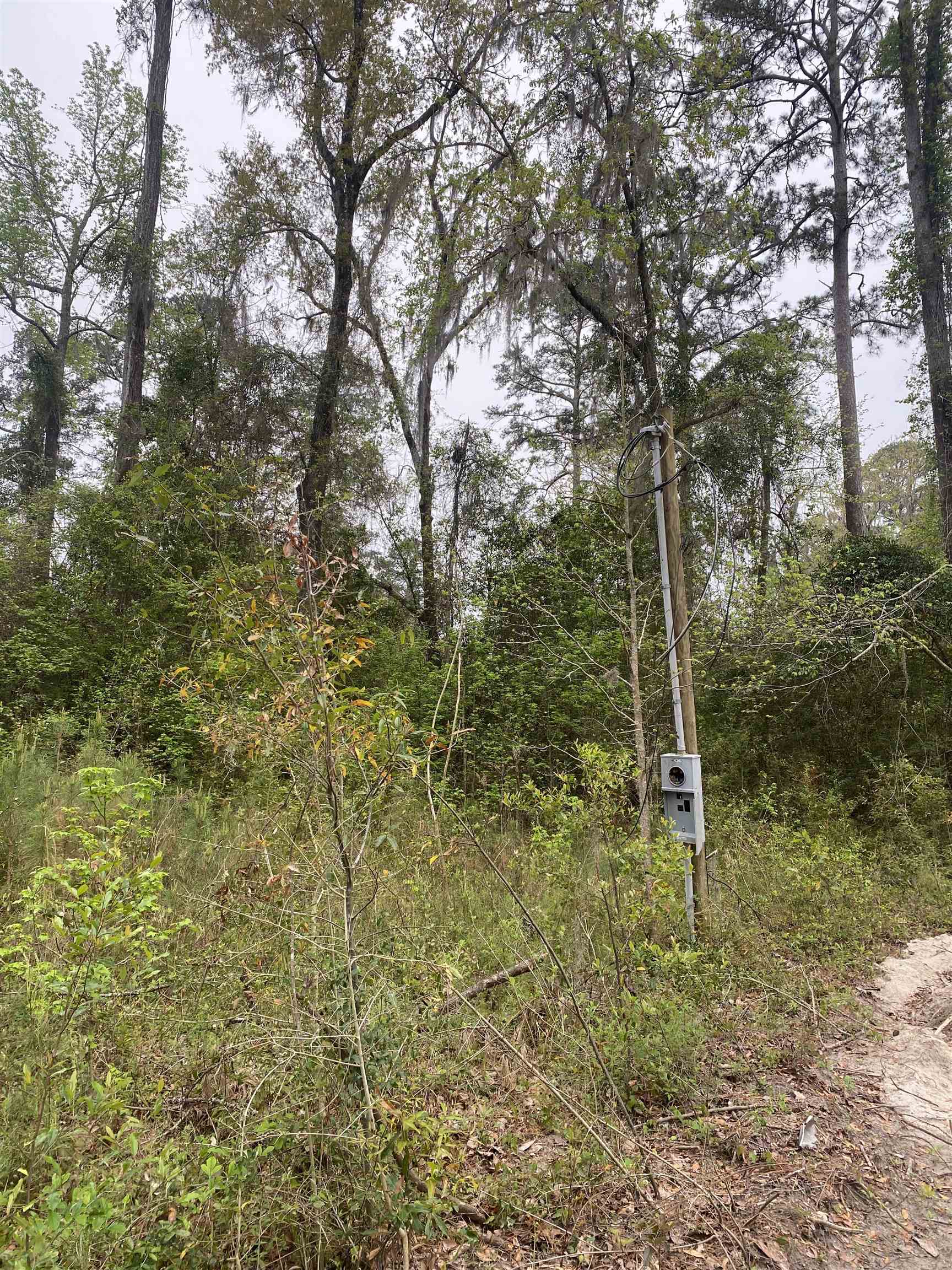 24 Maxson Road Crawfordville, FL 32327 - Photo 6 of 9