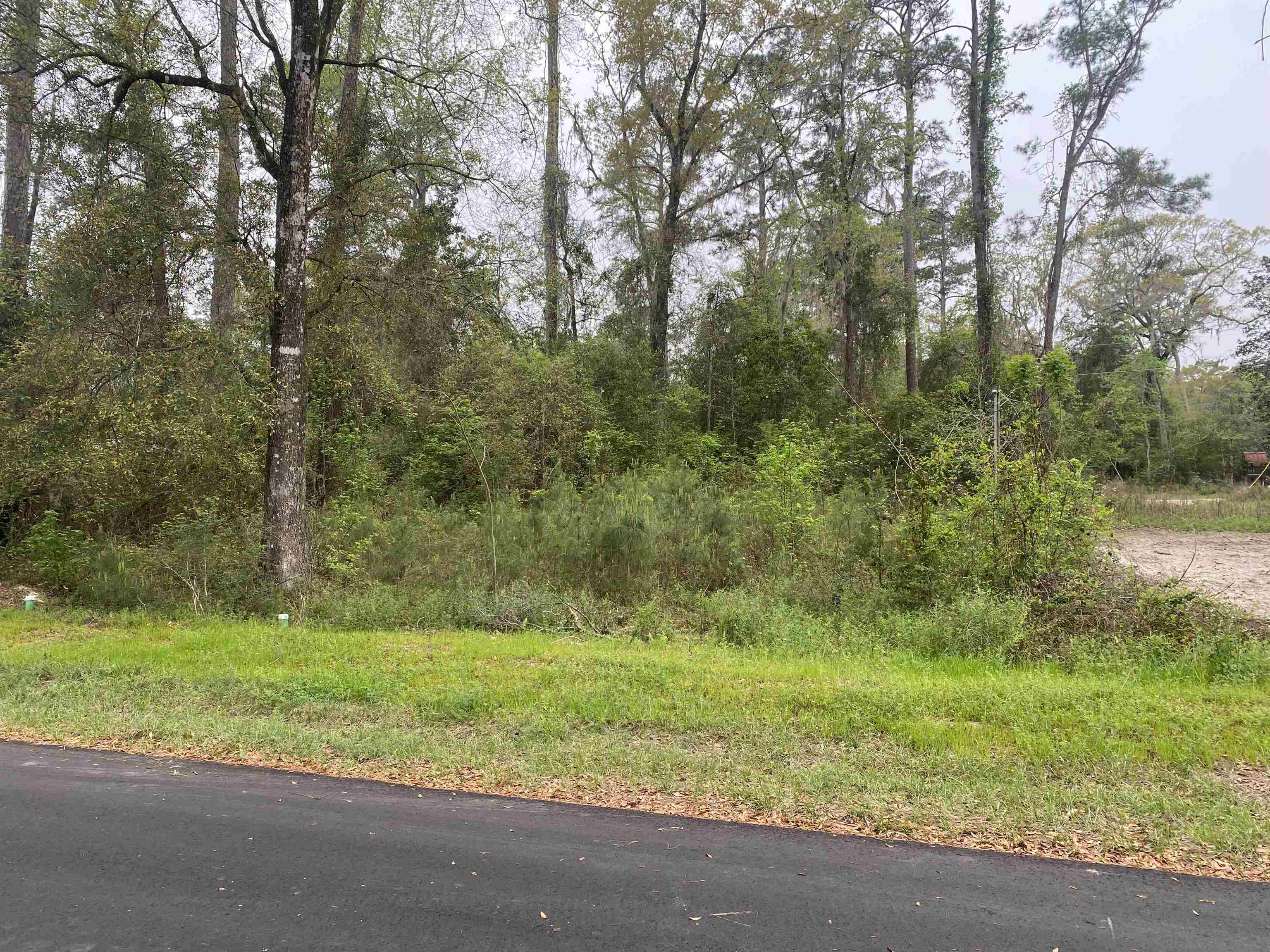 24 Maxson Road Crawfordville, FL 32327 - Photo 7 of 9