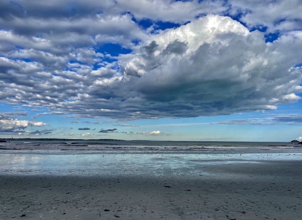 69 Fox Hill Road Nahant, MA 01908 - Photo 39 of 42 a view of a yard
