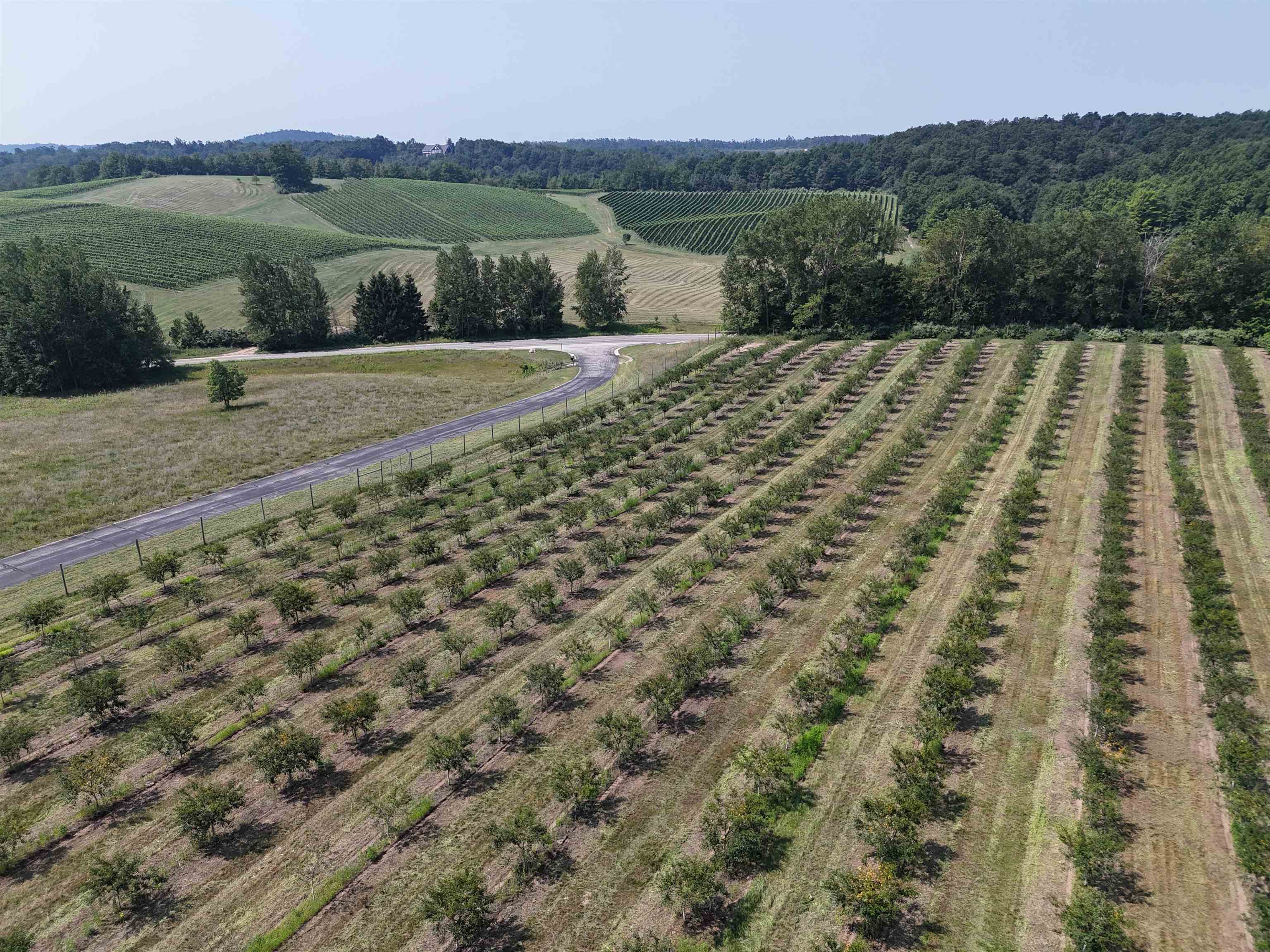 V/l North Matheson Road Northport, MI 49670 - Photo 5 of 11