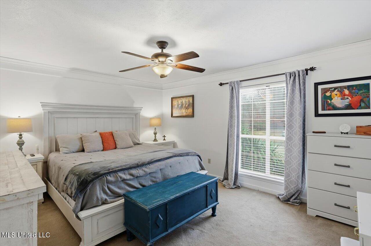 229 Greenfield Place Brandon, MS 39047 - Photo 21 of 38 Primary Bedroom