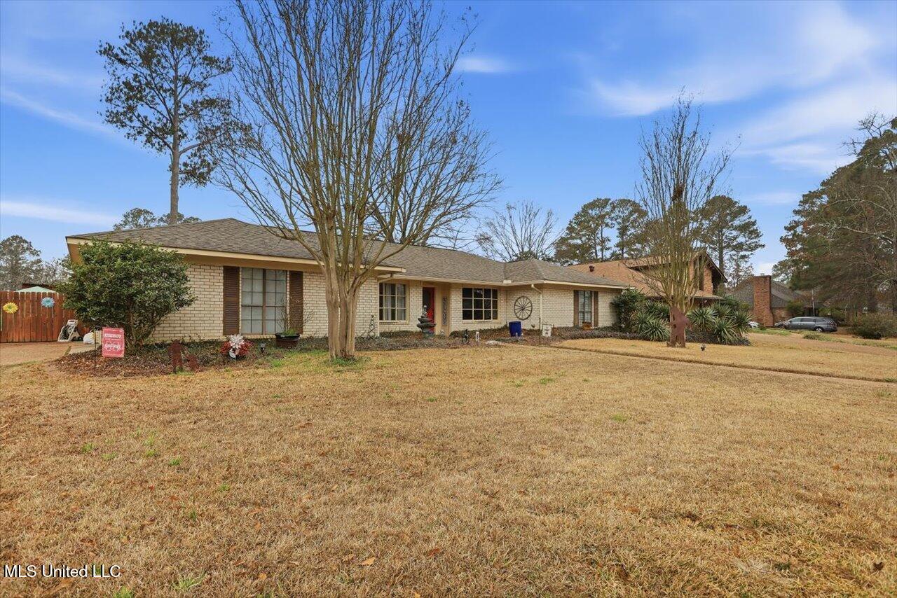 229 Greenfield Place Brandon, MS 39047 - Photo 3 of 38 View from driveway