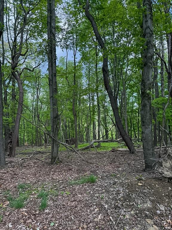 157 Todd Lane Monaca, PA 15061 - Photo 28 of 35