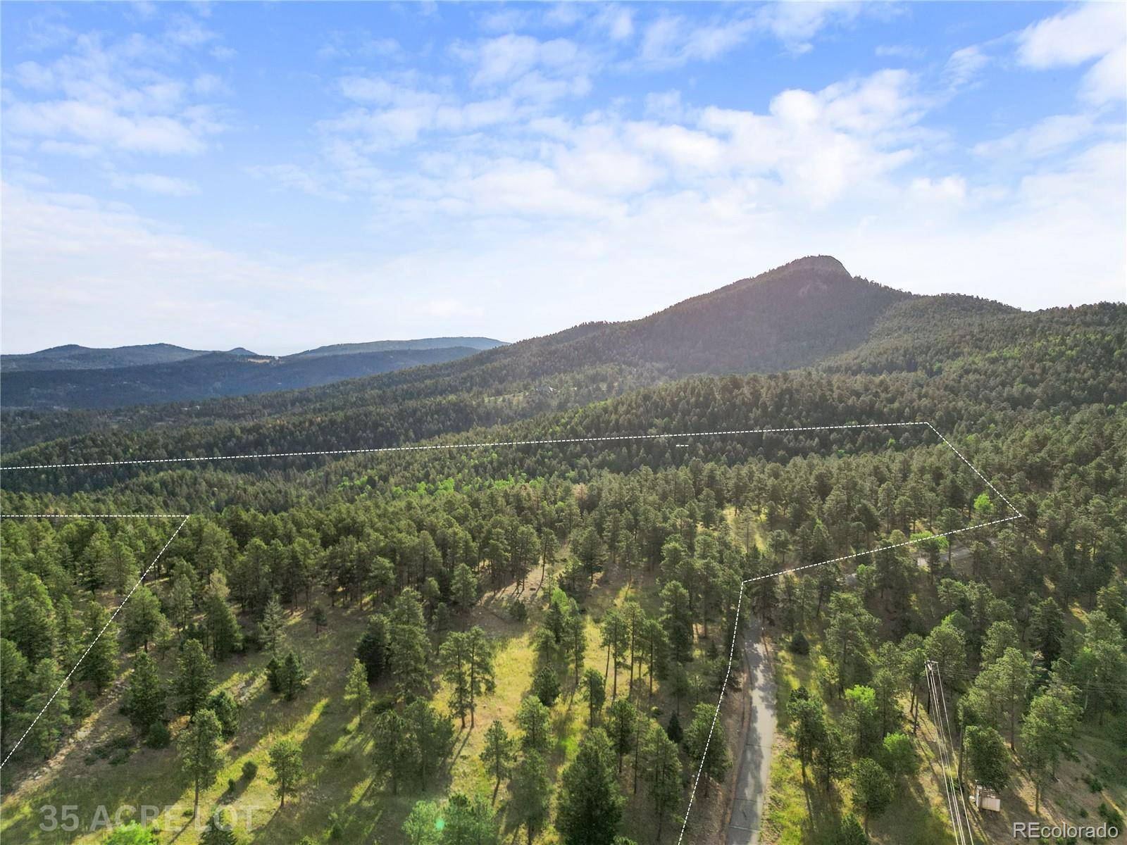 26541 Richmond Hill Road Conifer, CO 80433 - Photo 18 of 27 a view of a lush green forest with mountains in the background