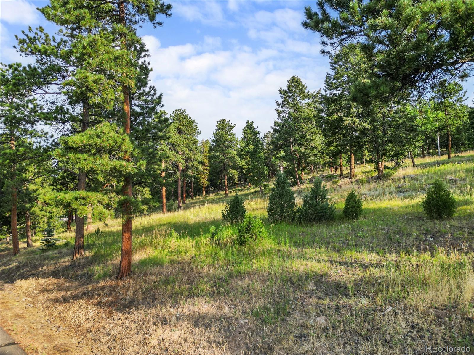 26541 Richmond Hill Road Conifer, CO 80433 - Photo 10 of 27 a view of backyard with green space