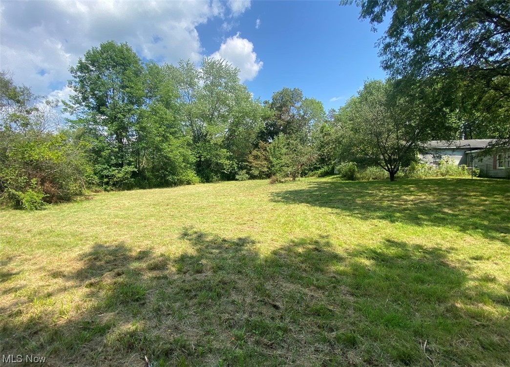 11105 Springfield Road North Lima, OH 44452 - Photo 3 of 27