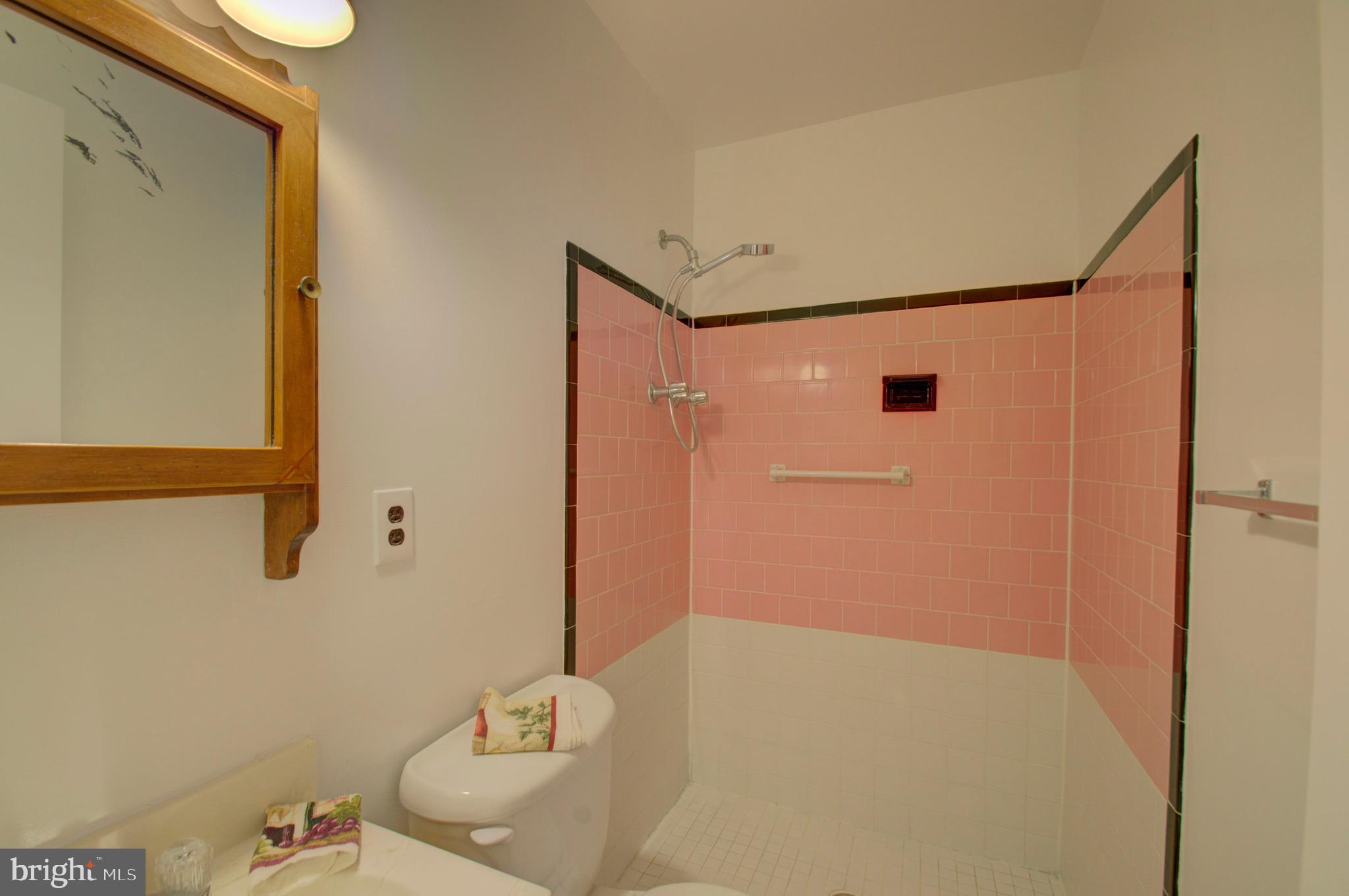 13302 Holdridge Road Silver Spring, MD 20906 - Photo 16 of 33 Bathroom