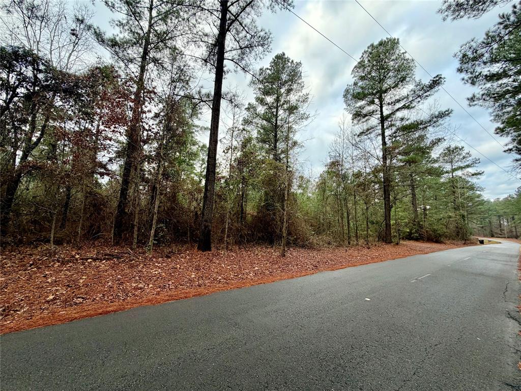 Lot 5 Hicks Road Benton, LA 71006 - Photo 2 of 6