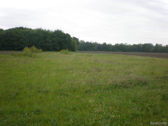 8412 Todd Road Yale, MI 48097 - Photo 3 of 3 P6190006-mfsopt