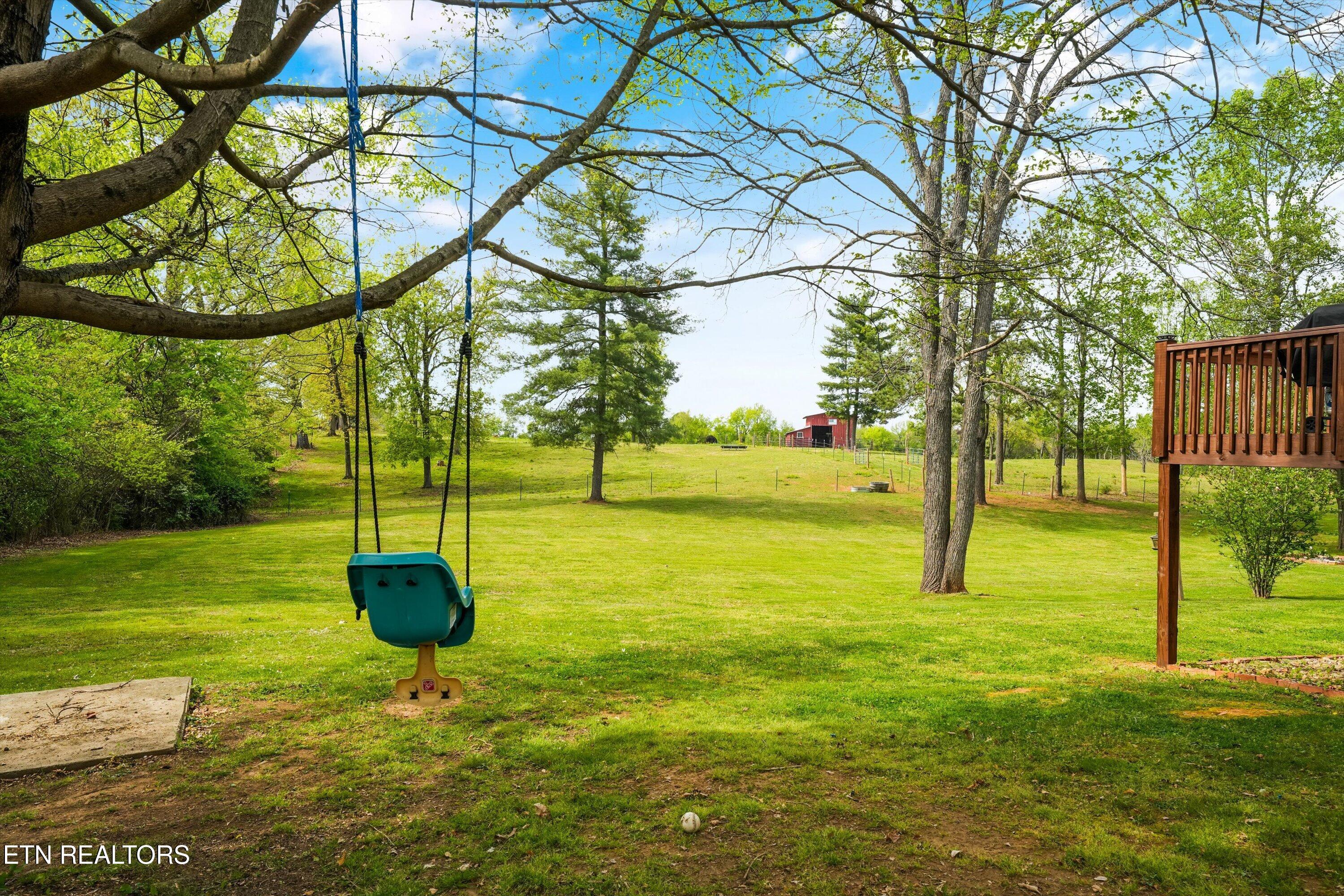 429 Old Glory Road Maryville, TN 37801 - Photo 39 of 57 Sprawling Back Yard