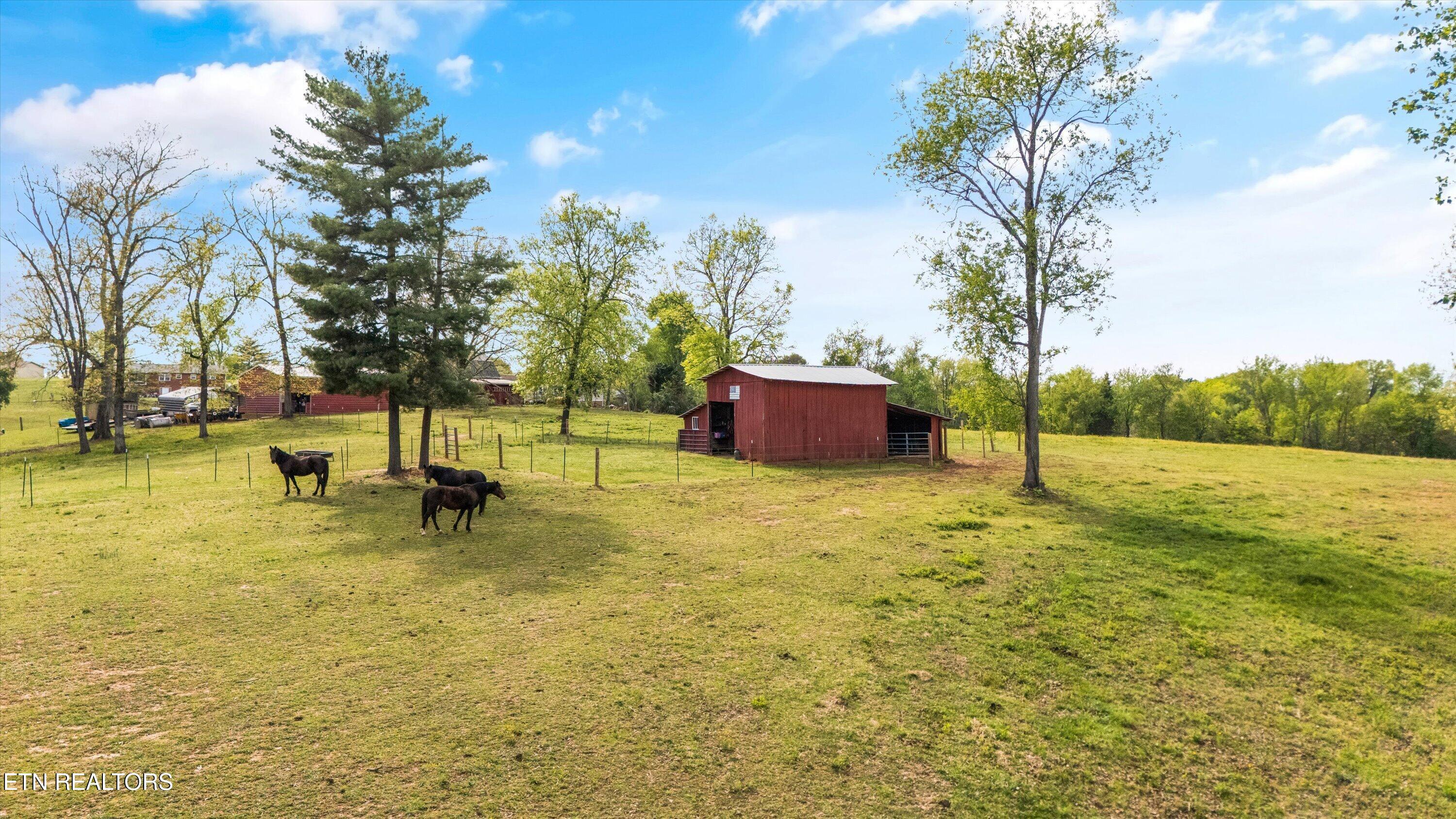 429 Old Glory Road Maryville, TN 37801 - Photo 45 of 57 Barn and Fenced Pasture