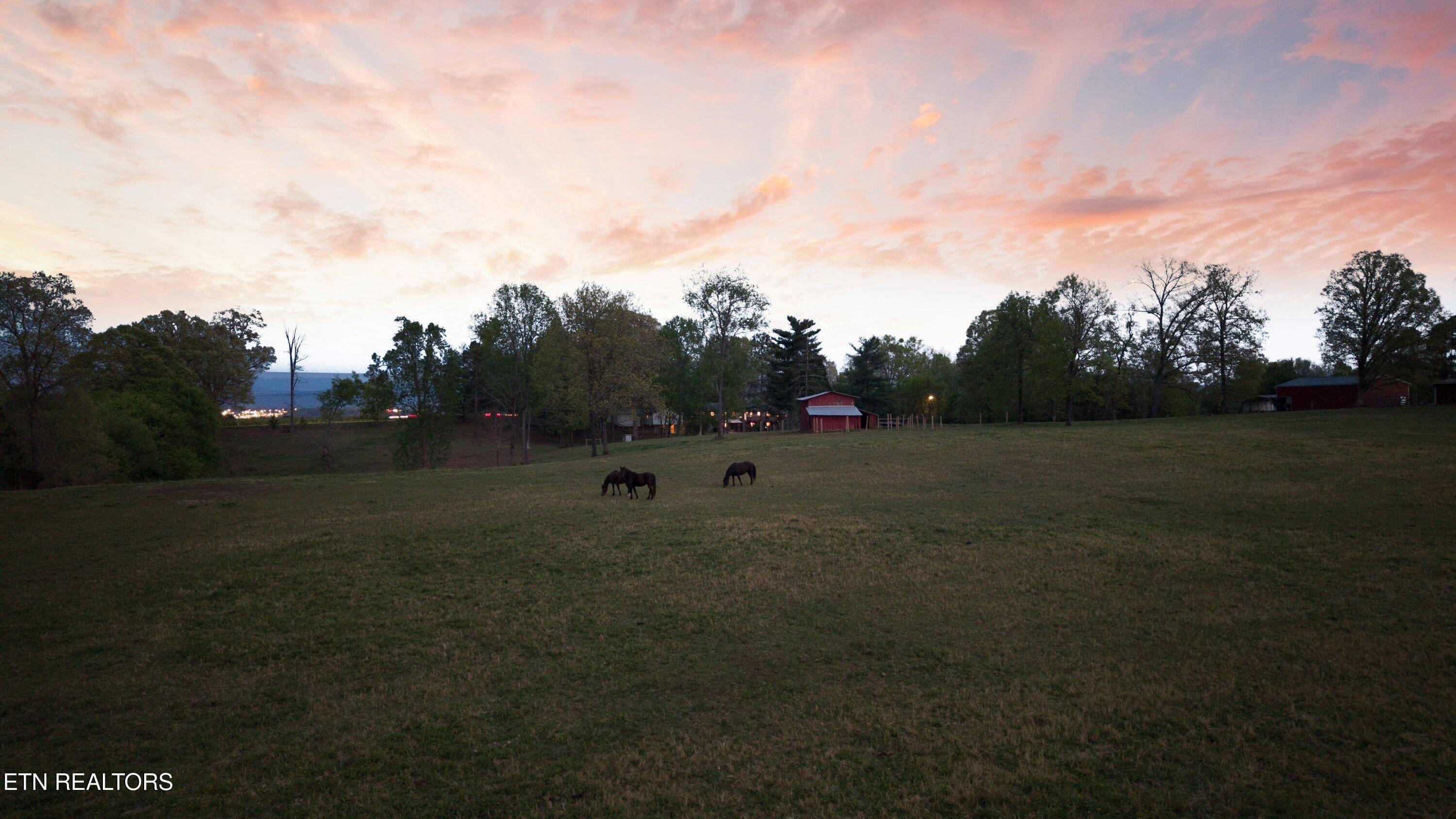 429 Old Glory Road Maryville, TN 37801 - Photo 54 of 57 Rear pasture