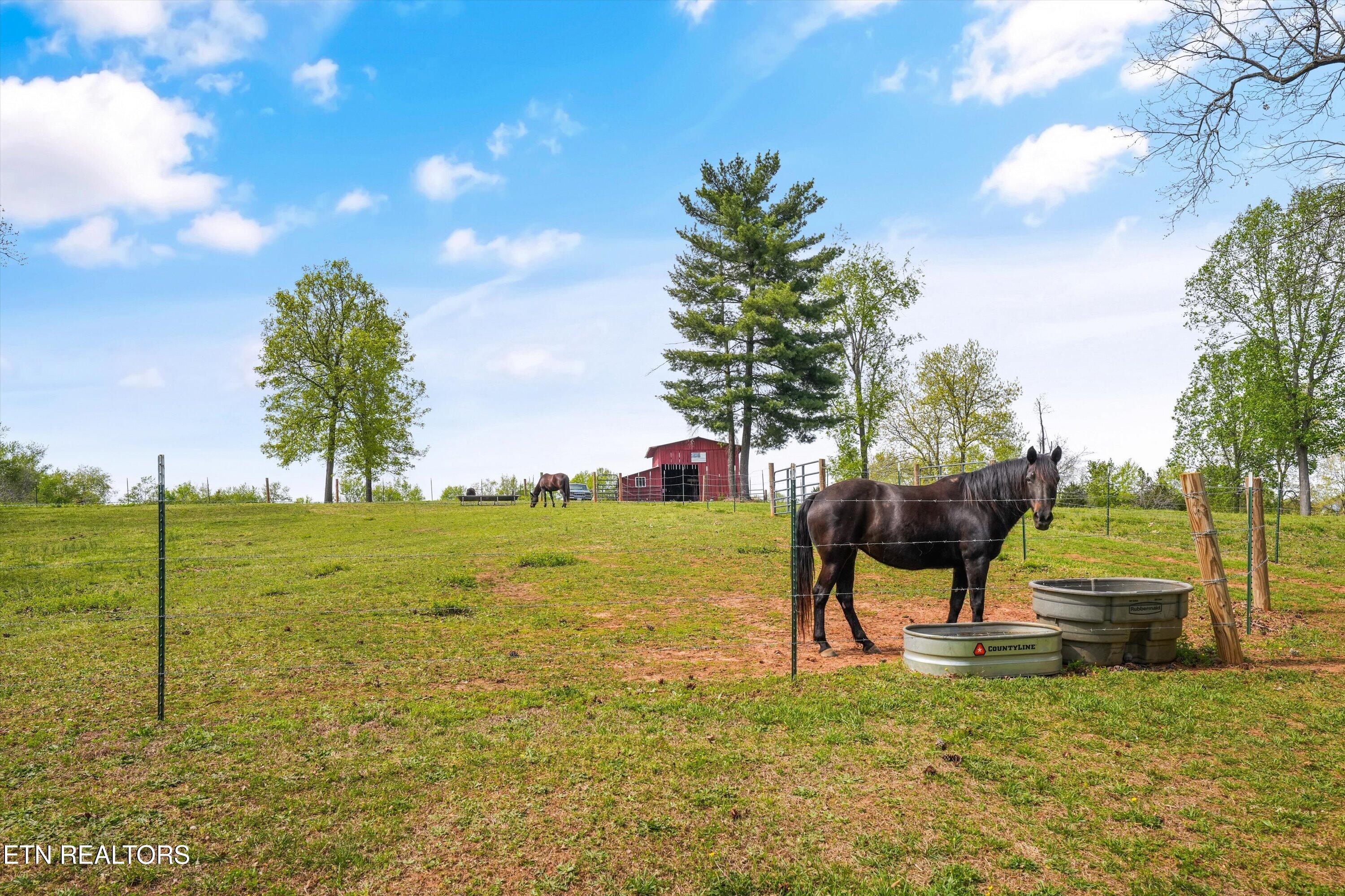 429 Old Glory Road Maryville, TN 37801 - Photo 6 of 57 Equine Friendly