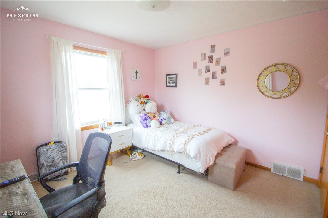 4396 Ireland Road Rome, OH 44085 - Photo 25 of 26