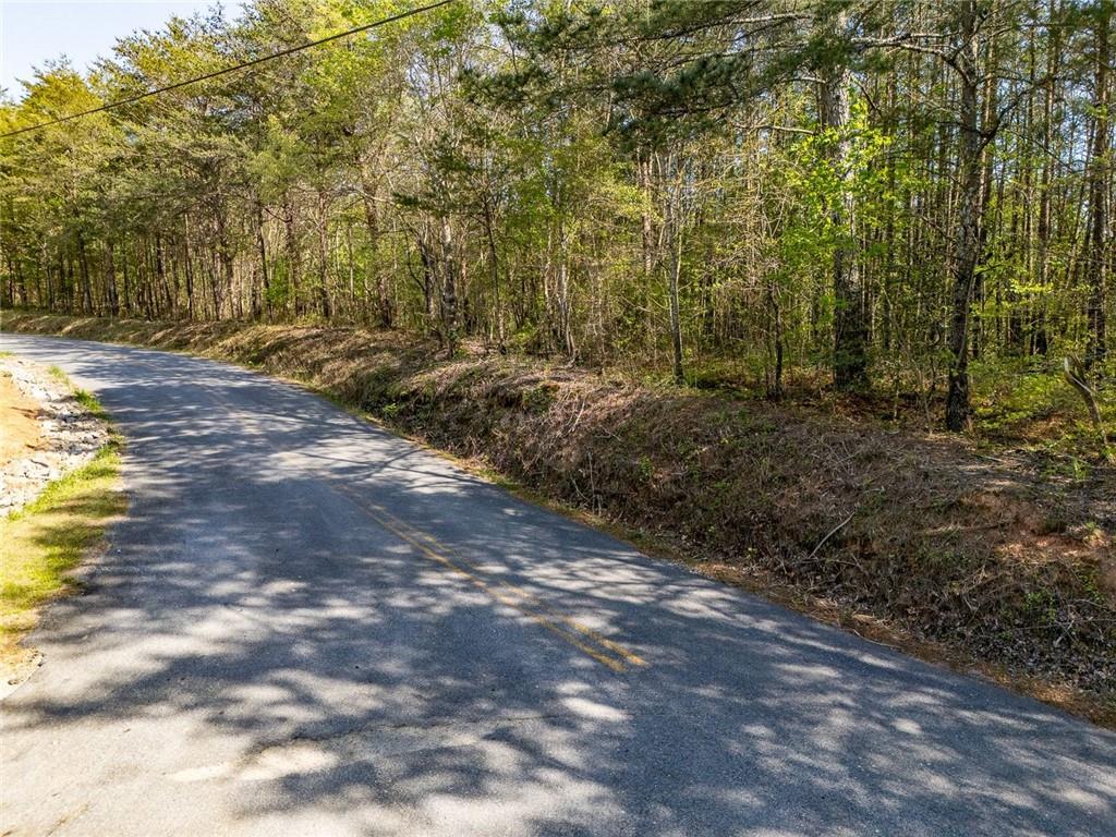 0 Talc Mine Road Jasper, GA 30143 - Photo 6 of 30 a view of a yard with trees