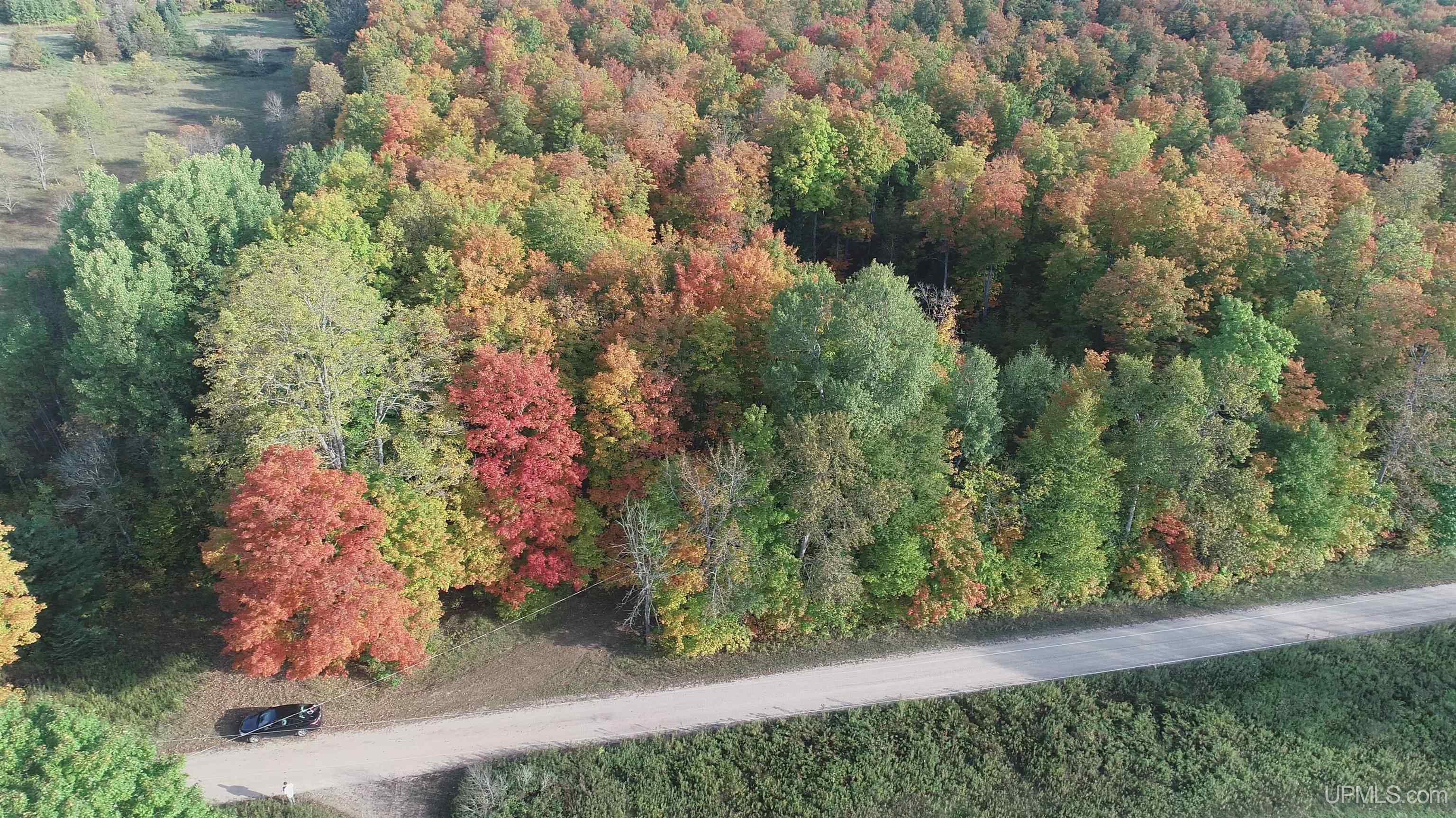 4104 Storm Road Chatham, MI 49816 - Photo 40 of 45