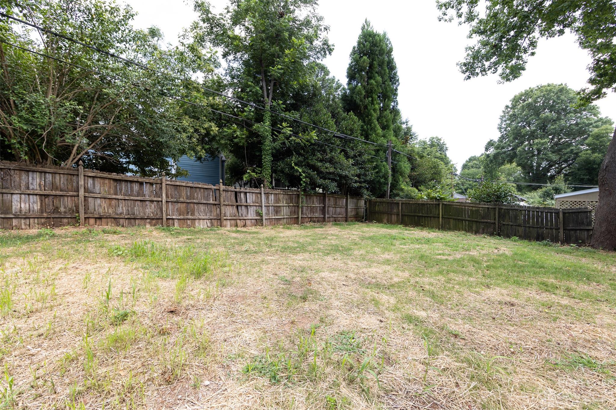 1704 Club Road, Unit A Charlotte, NC 28205 - Photo 35 of 35 a view of a yard with a large tree