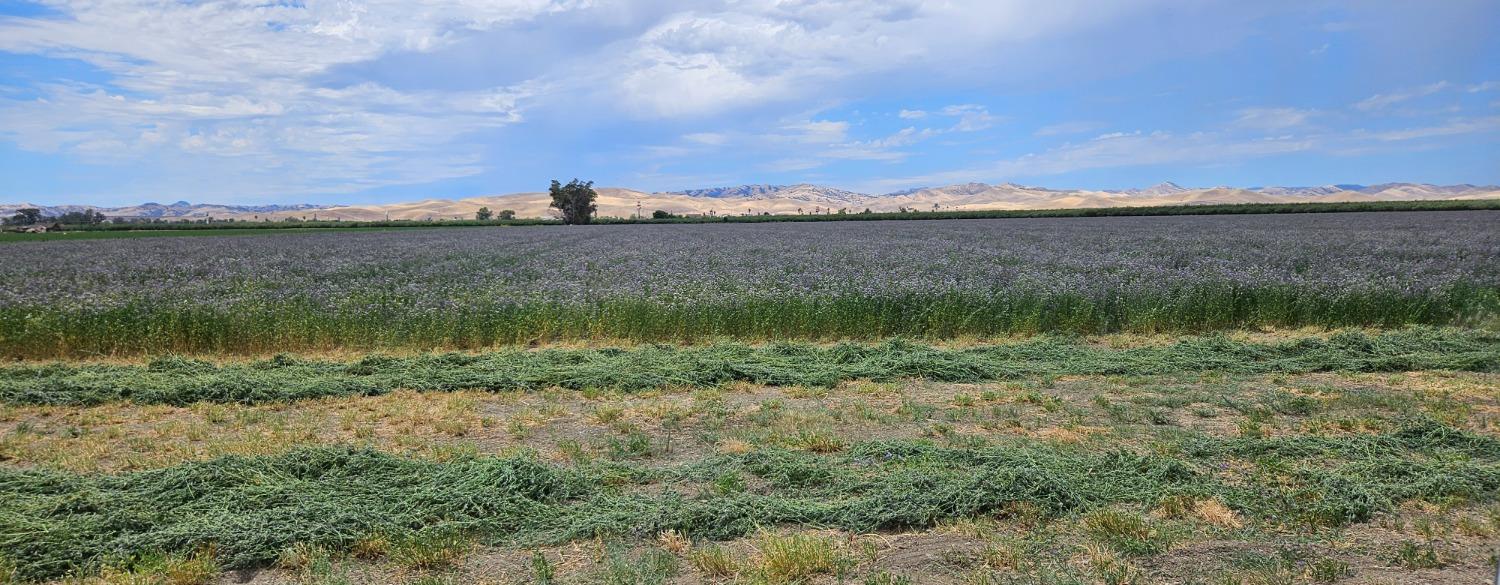 26749 Cottonwood Road Gustine, CA 95322 - Photo 1 of 1 a view of a lake from a yard