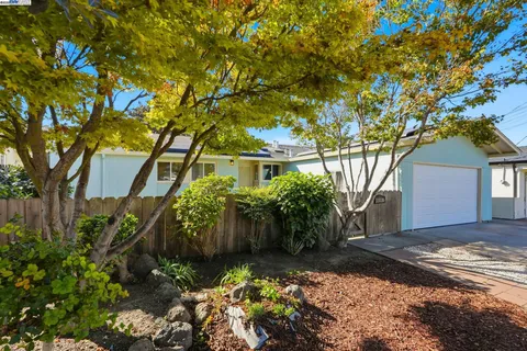 a view of a house with a tree