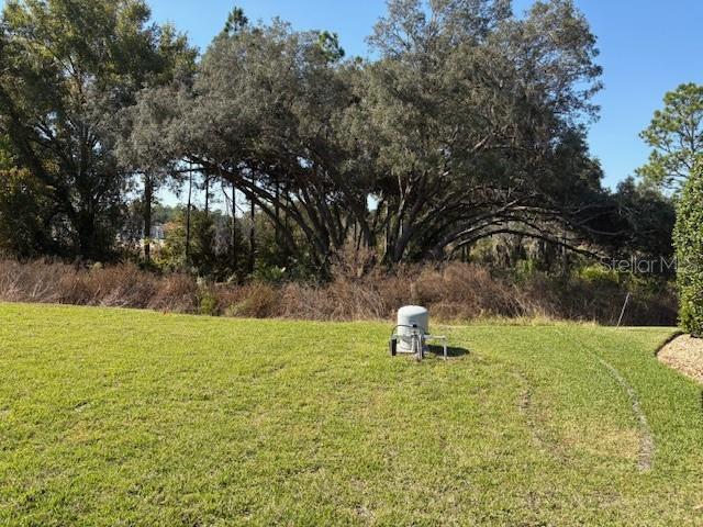 6770 Southwest 179th Ave Road Dunnellon, FL 34432 - Photo 8 of 22