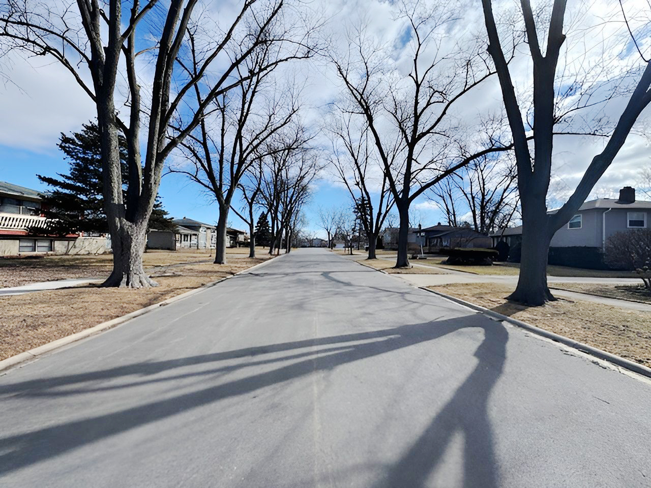2736 Helen Drive Glenview, IL 60025 - Photo 14 of 47 a view of road with snow on the road