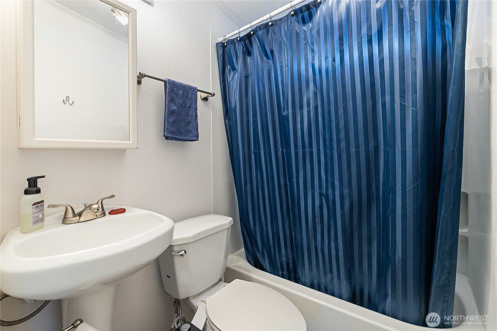 2350 Douglas Road, Unit 17 Ferndale, WA 98248 - Photo 28 of 32 a bathroom with a sink a toilet and mirror