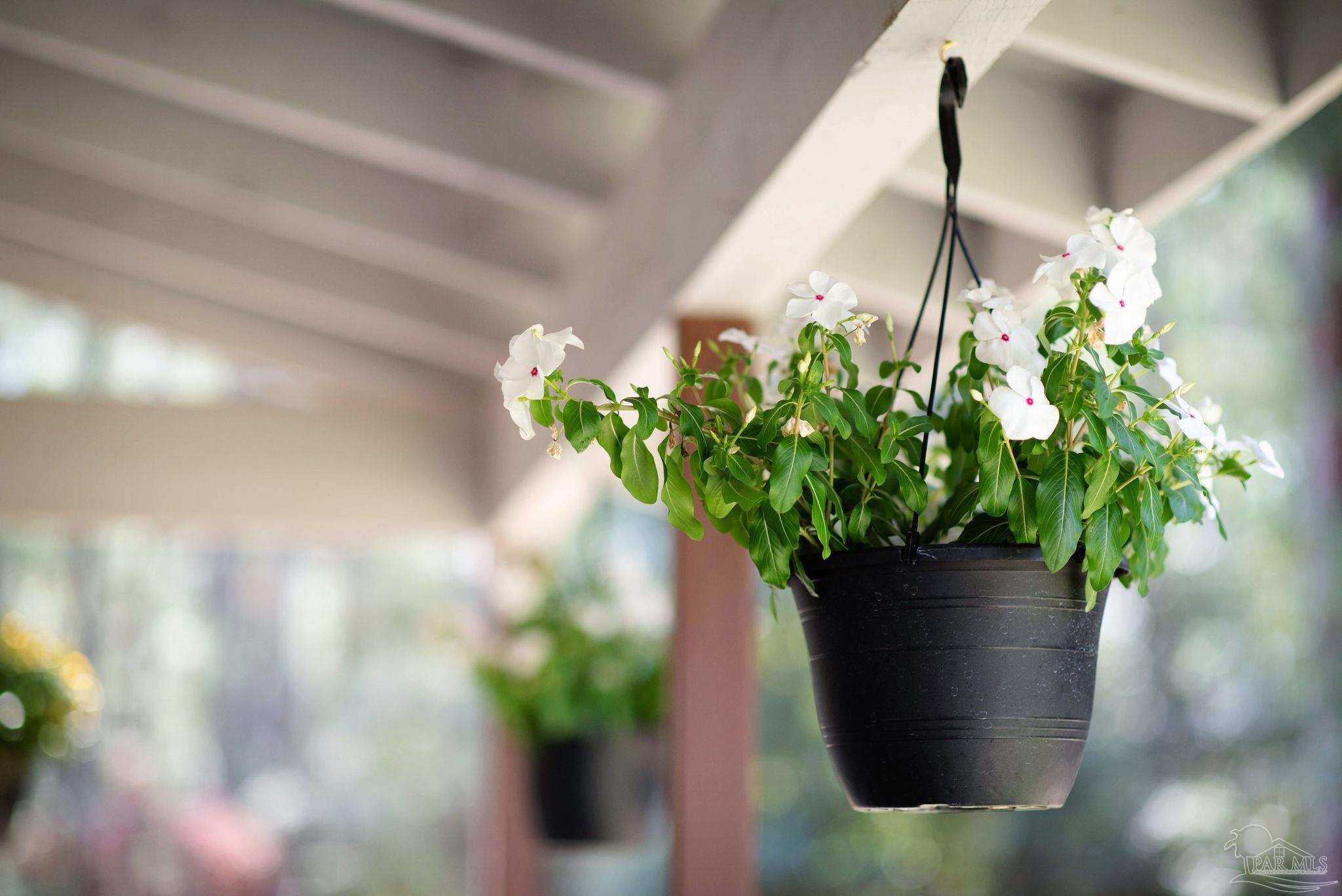 3050 Shell Road Jay, FL 32565 - Photo 6 of 45