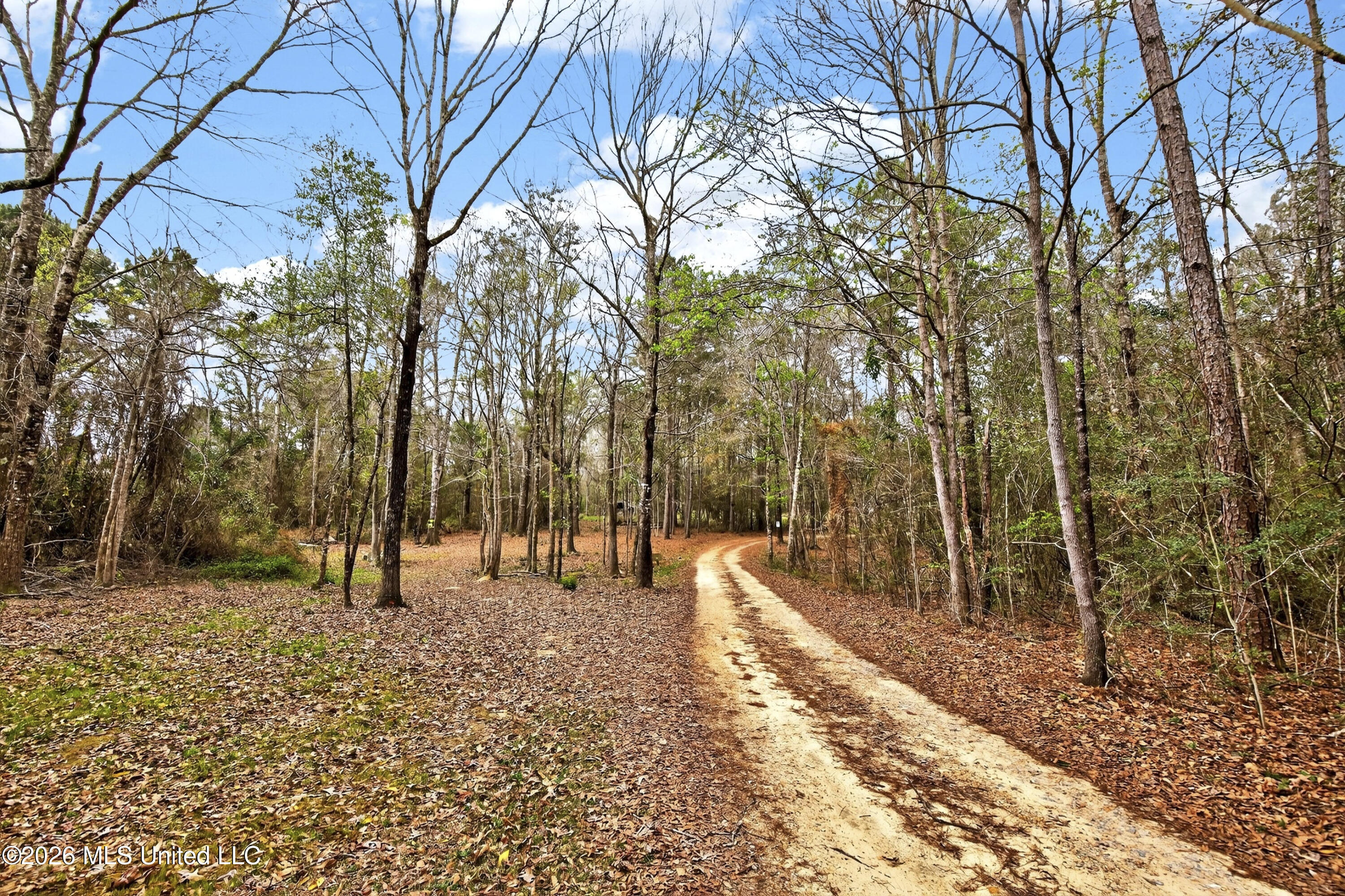 23127 Avery Road Saucier, MS 39574 - Photo 5 of 56 04