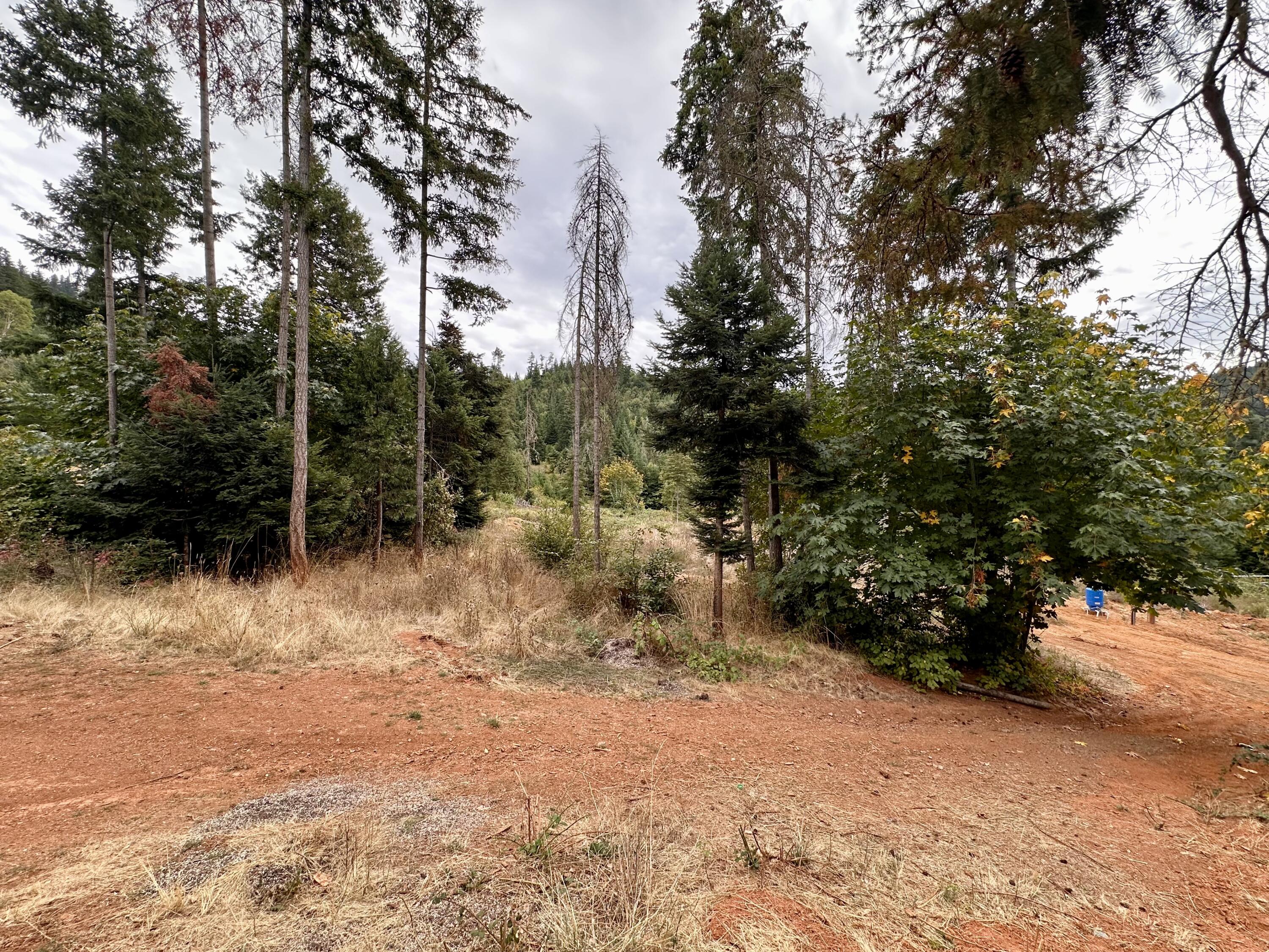780 Tunnel Road Glendale, OR 97442 - Photo 13 of 25 C751968D-F735-47B2-A433-2511F2466976_1_2