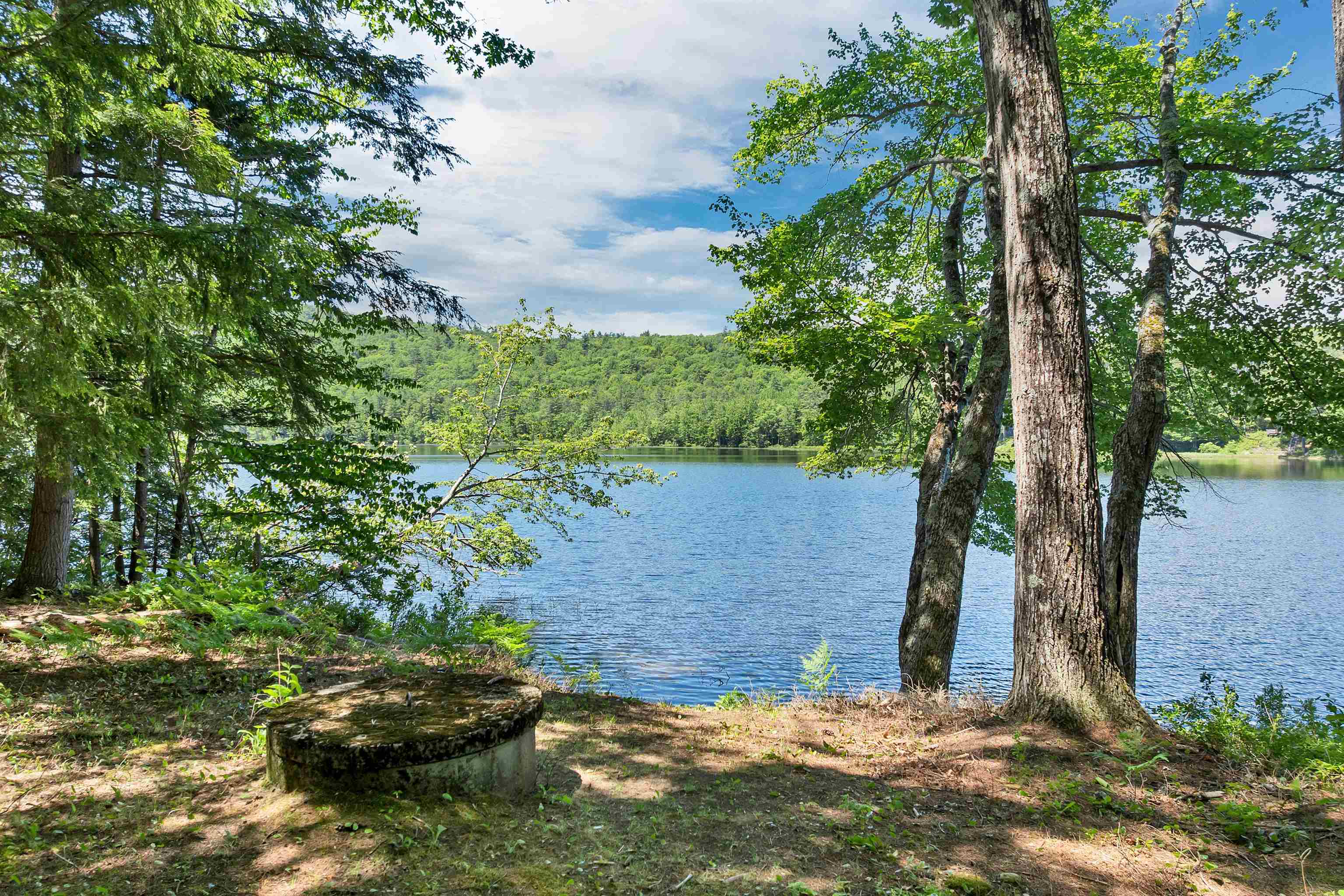 309 Stocker Pond Road Grantham, NH 03753 - Photo 2 of 36
