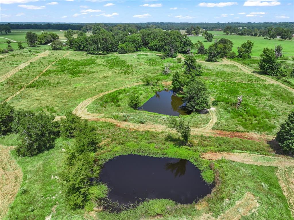 20880 State Highway 64 Canton, TX 75103 - Photo 30 of 36 a view of a back yard