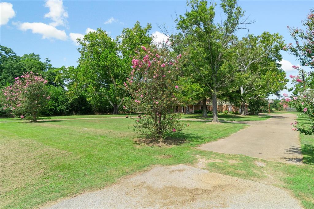 20880 State Highway 64 Canton, TX 75103 - Photo 33 of 36 a view of a park with large trees
