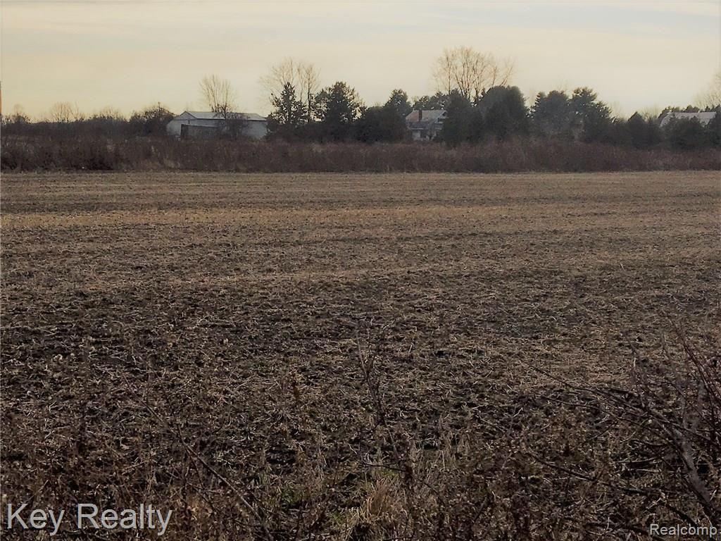 4011 Nolan Road Carleton, MI 48117 - Photo 10 of 11 IMG_4146.JPG
