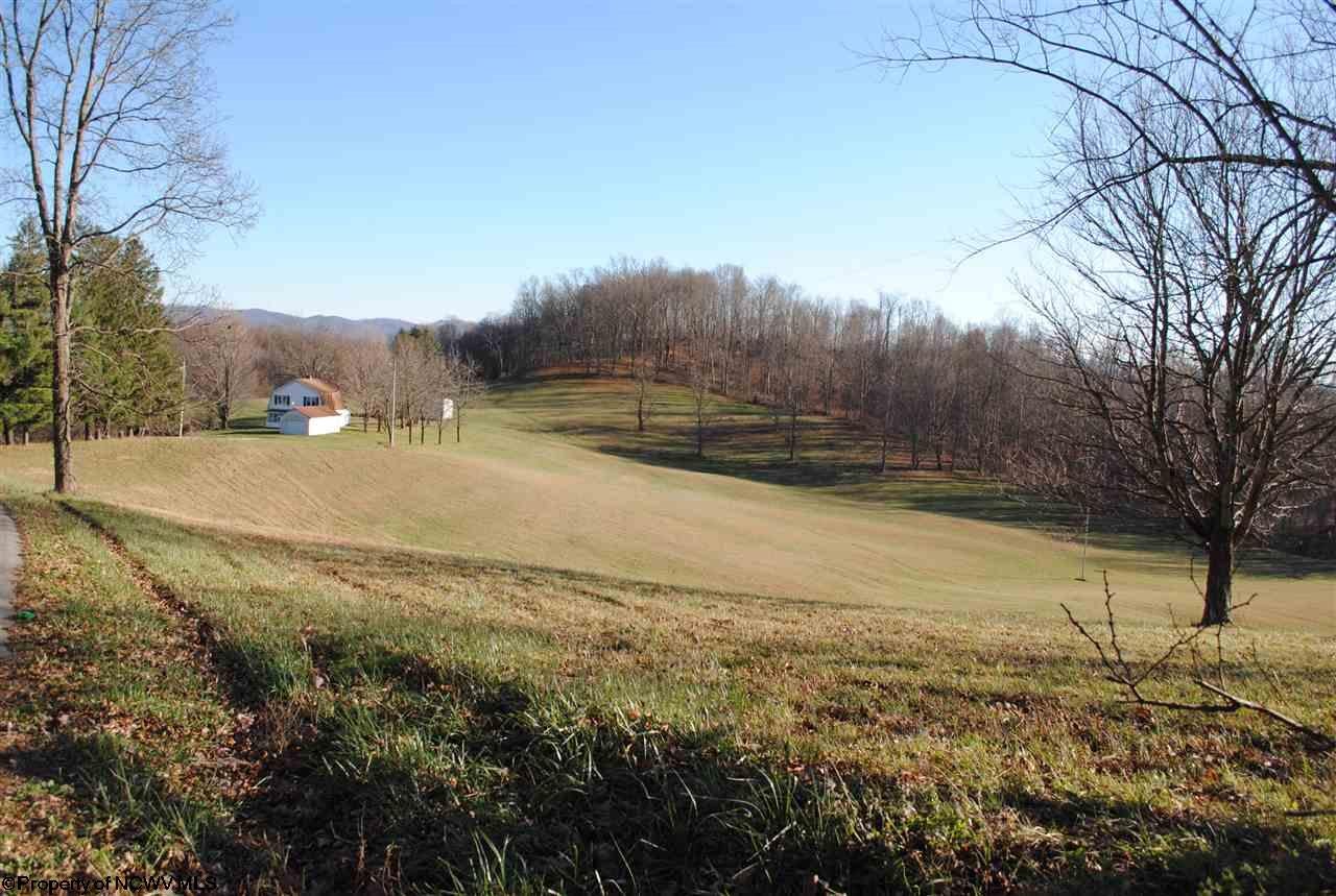 1417 Audra Park Road Belington, WV 26250 - Photo 21 of 21 Gallery Image 21