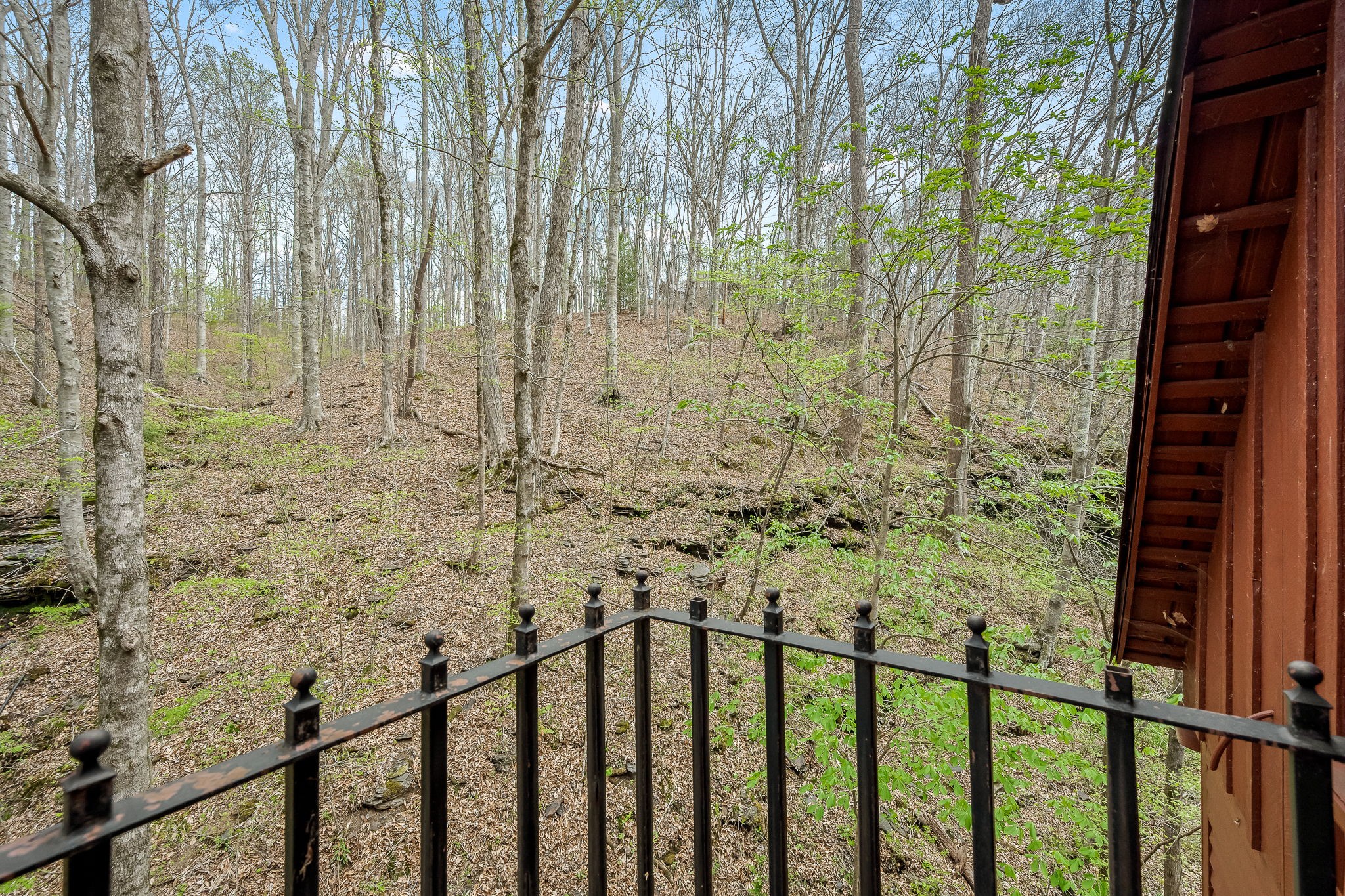 2708 Ledford Mill Road Normandy, TN 37360 - Photo 49 of 99