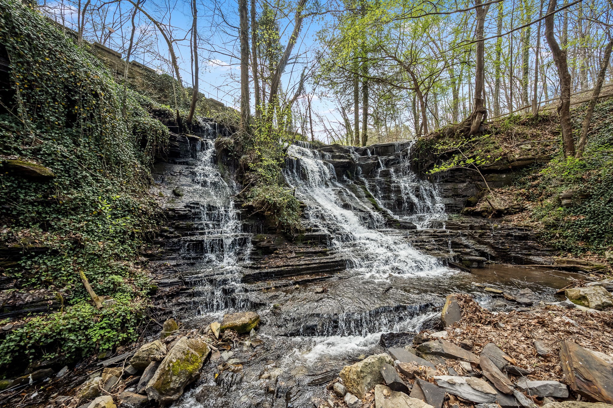 2708 Ledford Mill Road Normandy, TN 37360 - Photo 59 of 99