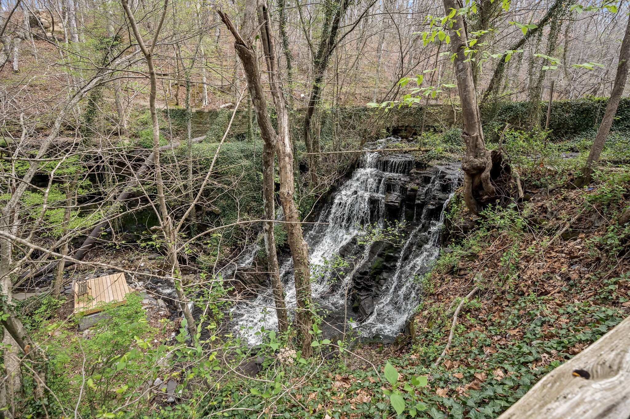 2708 Ledford Mill Road Normandy, TN 37360 - Photo 65 of 99