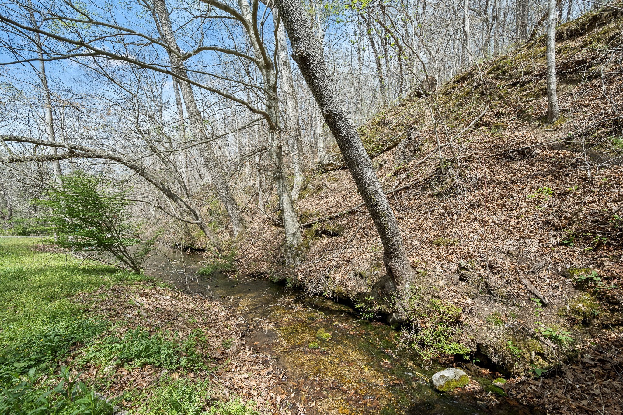 2708 Ledford Mill Road Normandy, TN 37360 - Photo 10 of 99