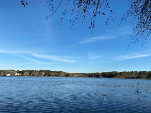 Lot 7-8 Rolling Pines Road Chipley, FL 32428 - Photo 3 of 18 Gallery Image 3