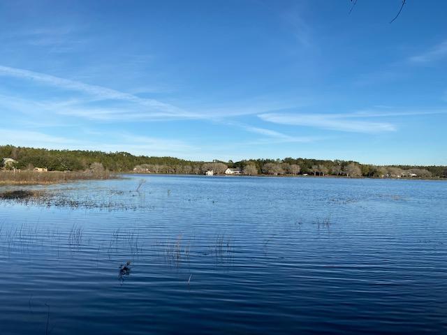 Lot 7-8 Rolling Pines Road Chipley, FL 32428 - Photo 4 of 18 Gallery Image 4