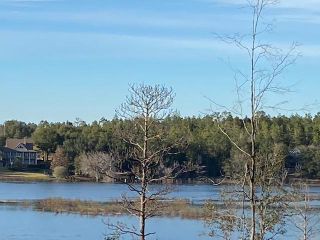 Lot 7-8 Rolling Pines Road Chipley, FL 32428 - Photo 5 of 18 Gallery Image 5