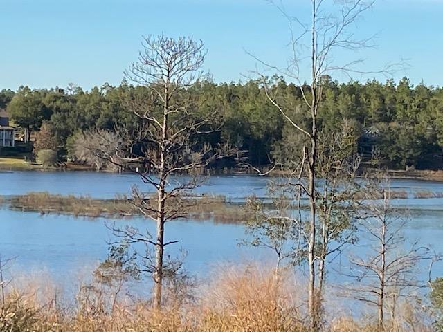 Lot 7-8 Rolling Pines Road Chipley, FL 32428 - Photo 6 of 18 Gallery Image 6