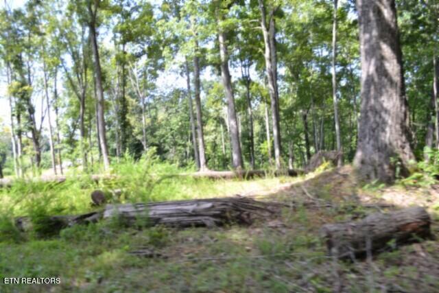 9.85-ac Rock Springs Road Celina, TN 38551 - Photo 32 of 48 DSC_0083