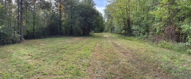 39.96-acres Wolf Stake Church Road Seneca, SC 29672 - Photo 6 of 6