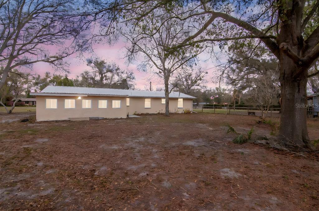 349 Old Welcome Road Lithia, FL 33547 - Photo 6 of 54 a view of house with backyard