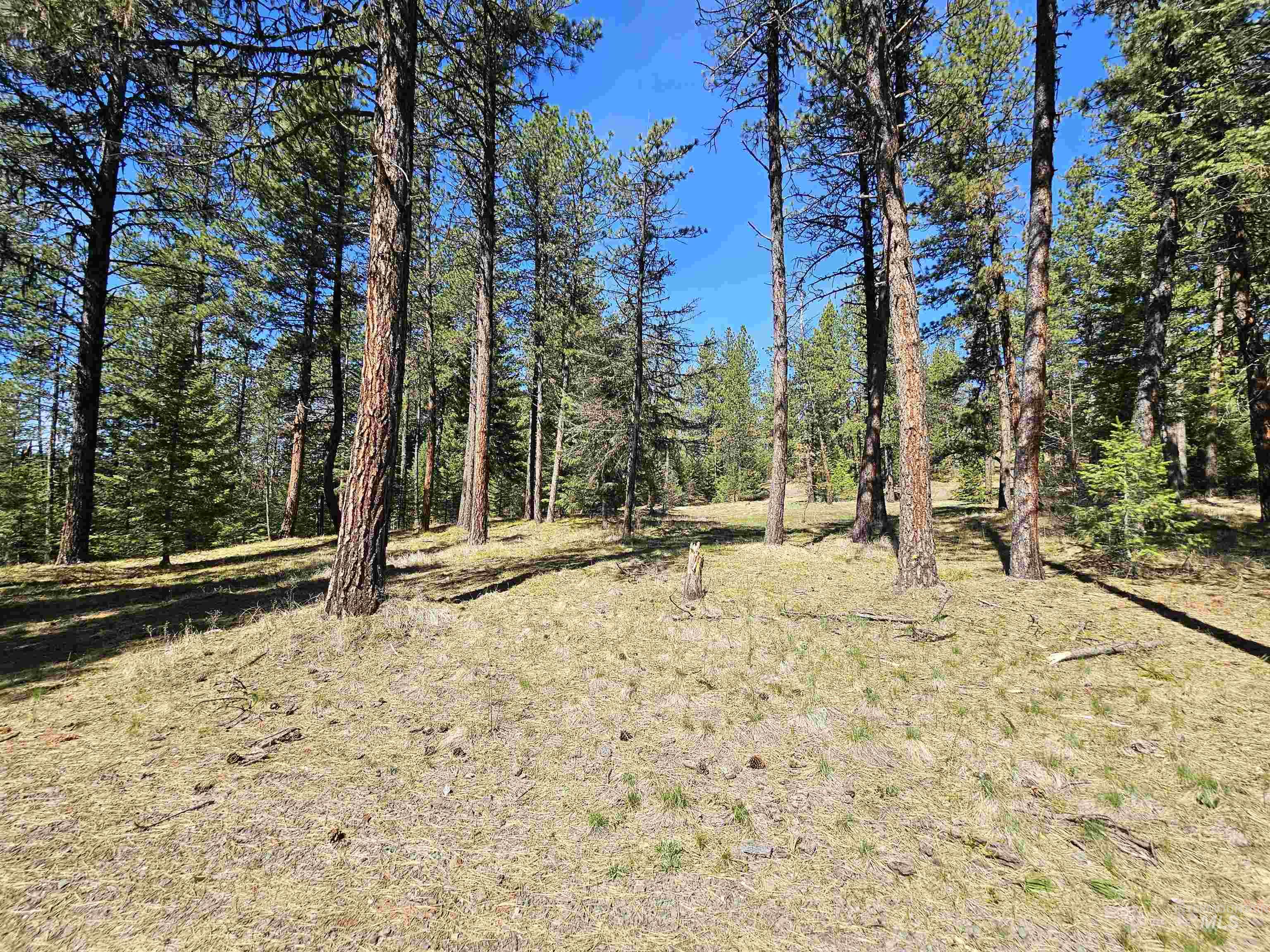 23088 Deer Creek Road Winchester, ID 83555 - Photo 13 of 32