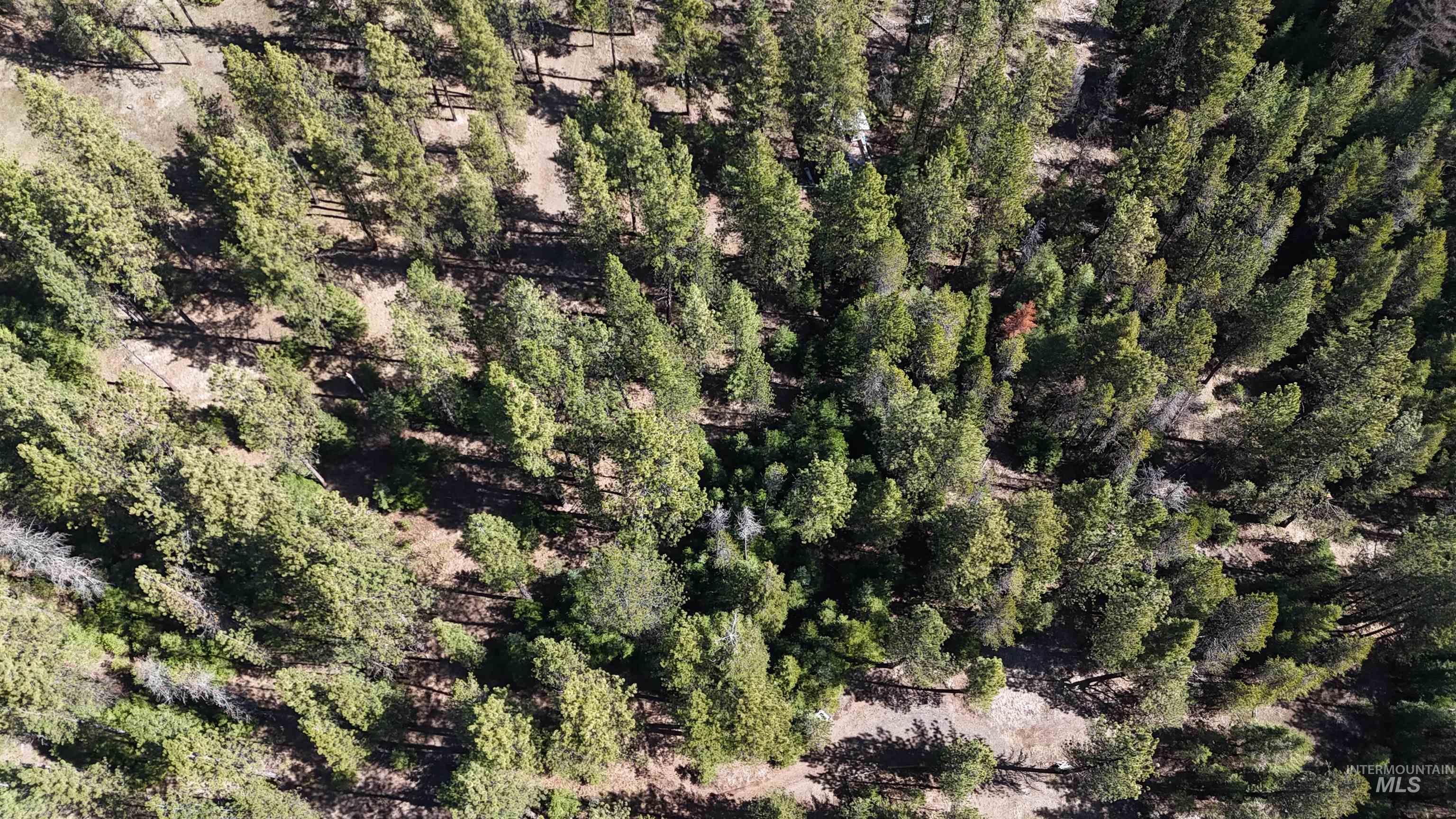 23088 Deer Creek Road Winchester, ID 83555 - Photo 30 of 32