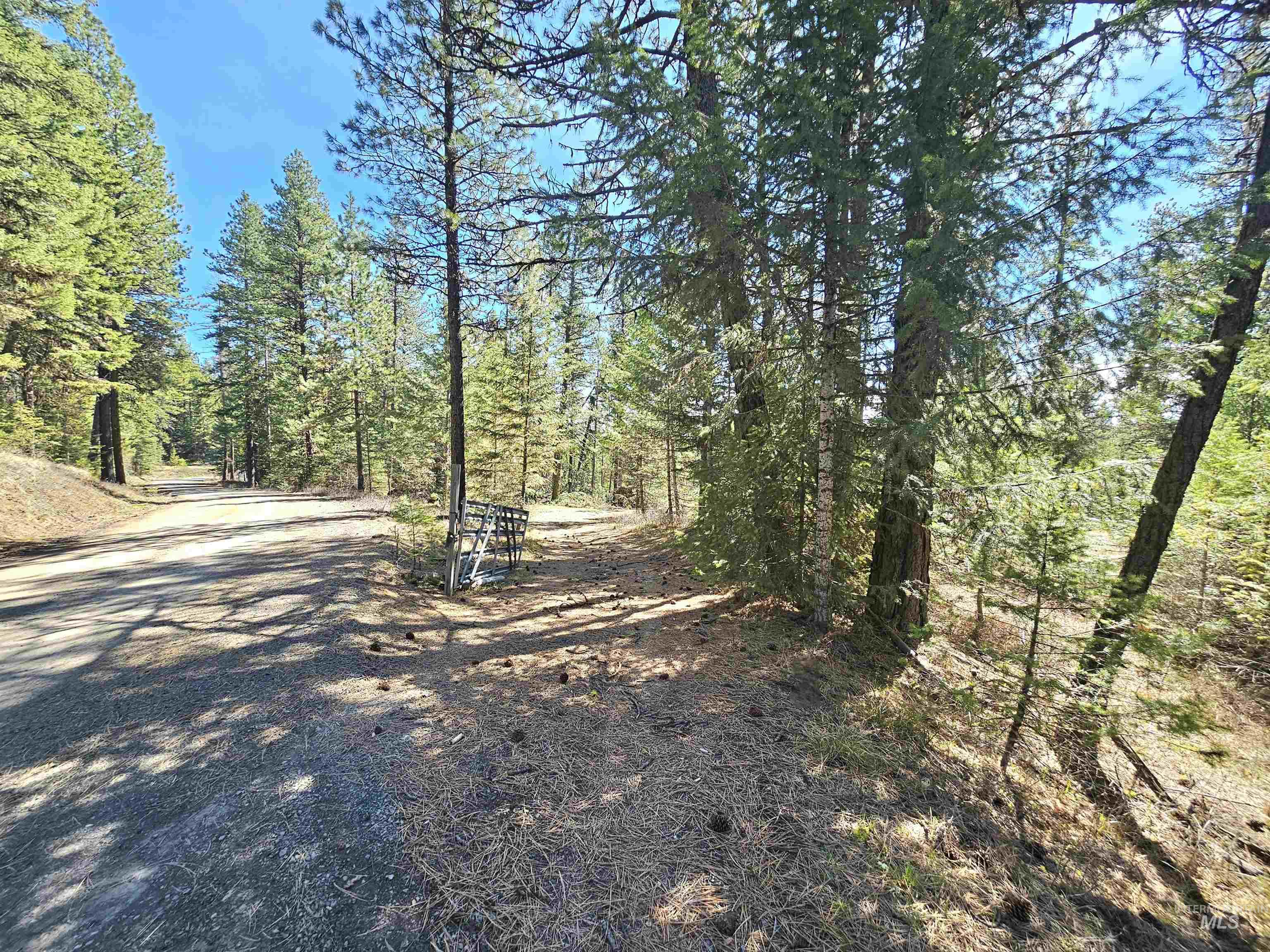 23088 Deer Creek Road Winchester, ID 83555 - Photo 10 of 32