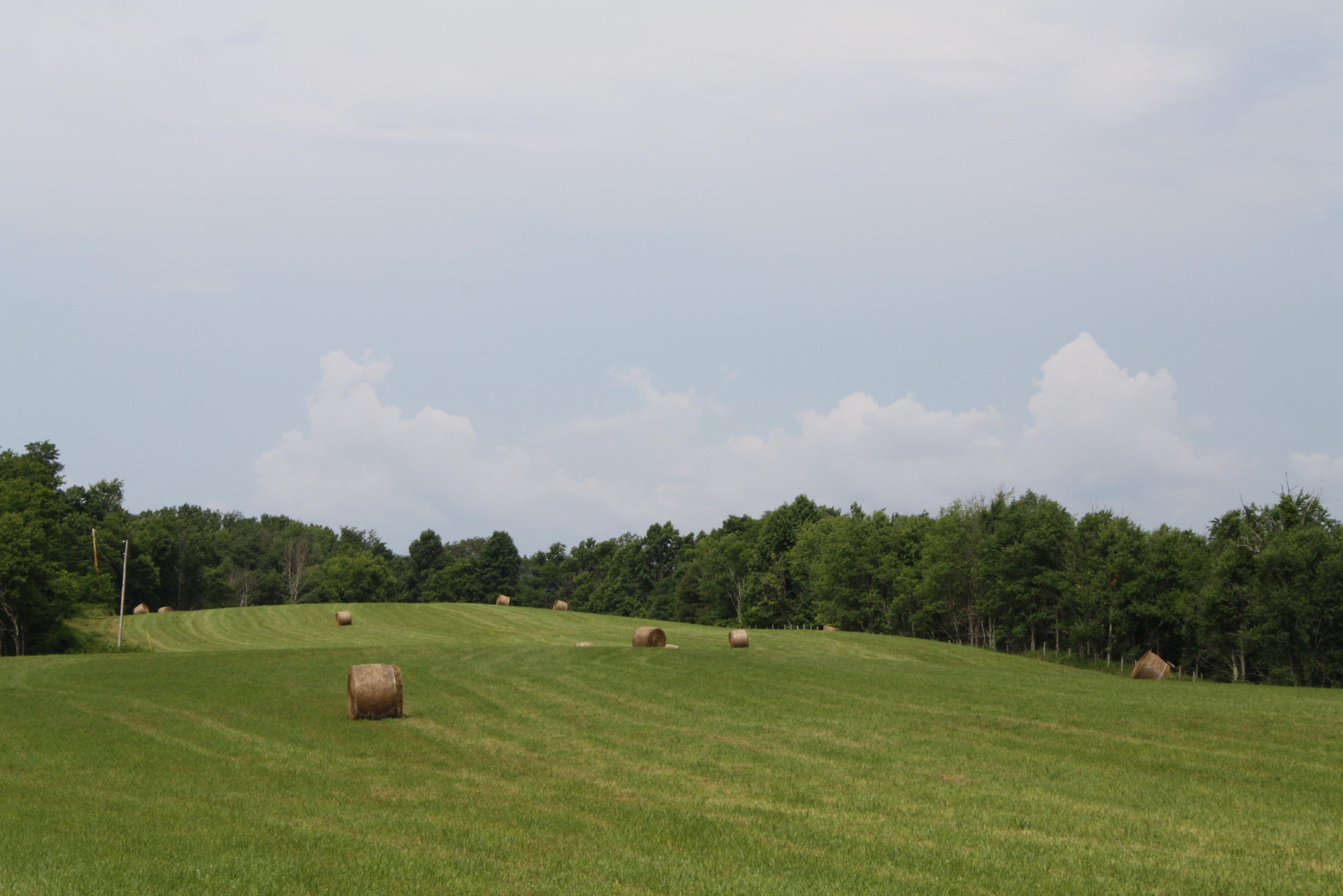 3296 Simms Mountain Road Rainelle, WV 25962 - Photo 112 of 119 Gallery Image 112